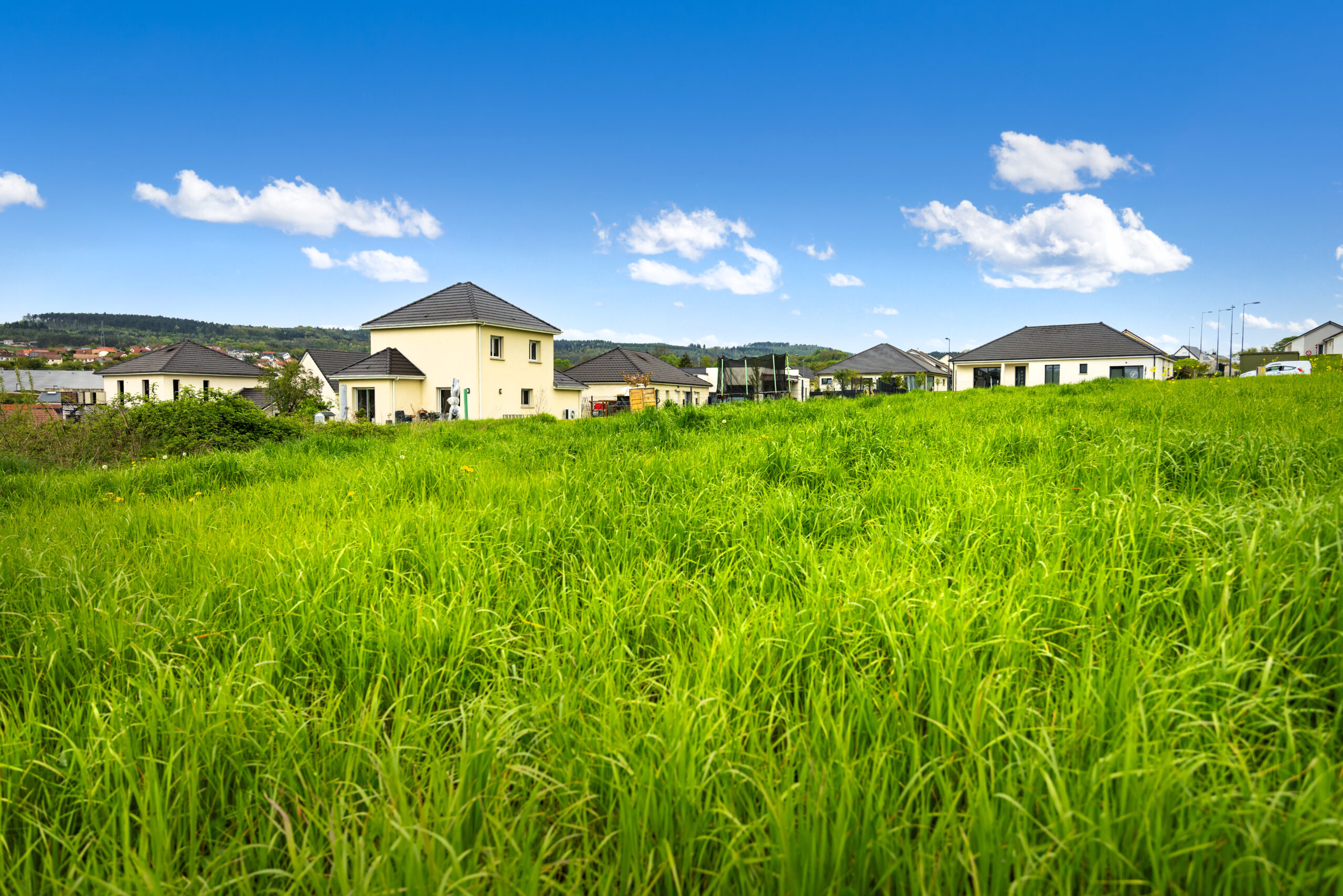 GODIN_SEDIA_115