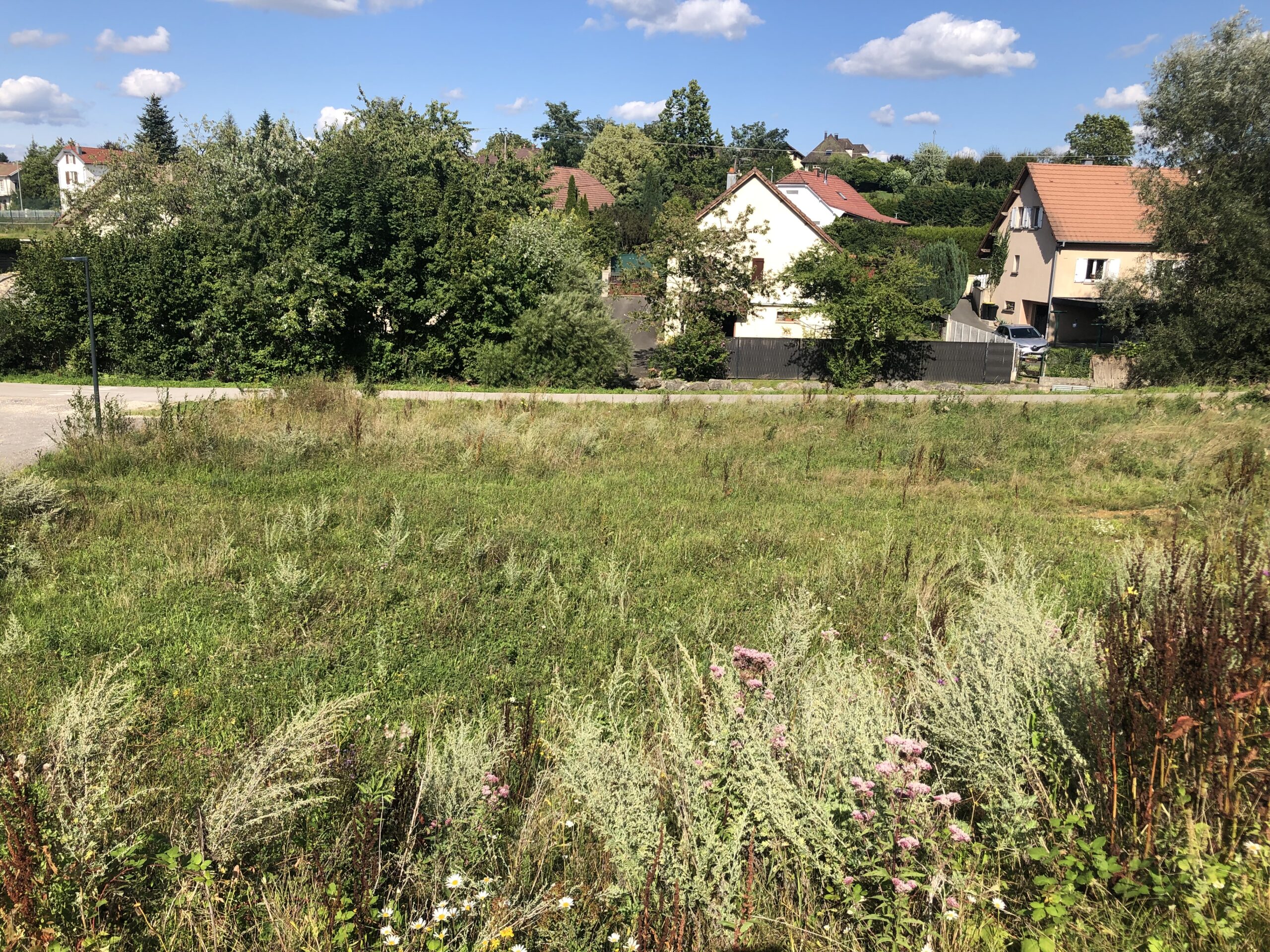 Les combes dampierre-les-bois